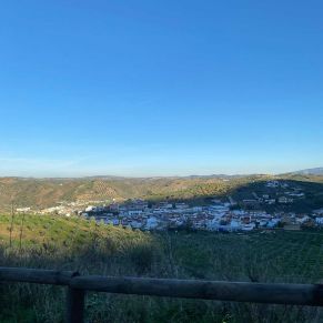 1708081883326_resultado_resultado