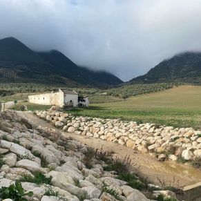 1708081883347_resultado_resultado