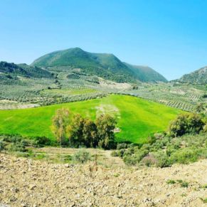 1708081883367_resultado_resultado