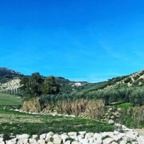 1708081883404_resultado_resultado