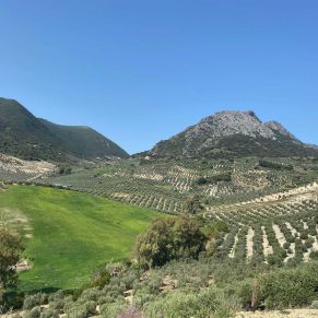 1708081883421_resultado_resultado