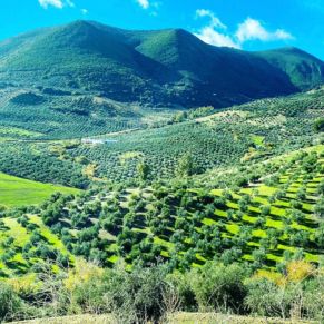 1708081883454_resultado_resultado