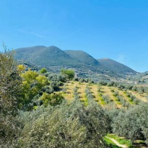 1708081883485_resultado_resultado