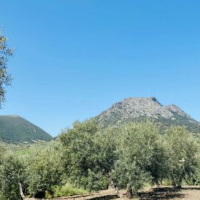 1708082071836_resultado_resultado