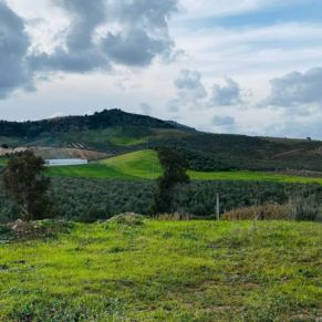 1708082071871_resultado_resultado