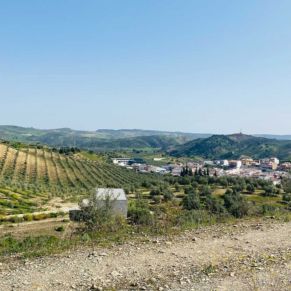 1708082071888_resultado_resultado