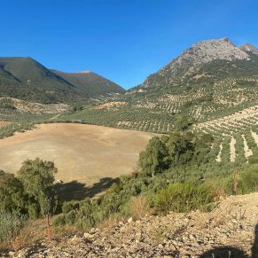 1708082071905_resultado_resultado