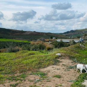 1708082071938_resultado_resultado