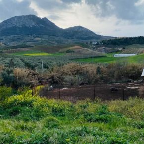 1708082072075_resultado_resultado