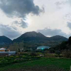 1708082072098_resultado_resultado