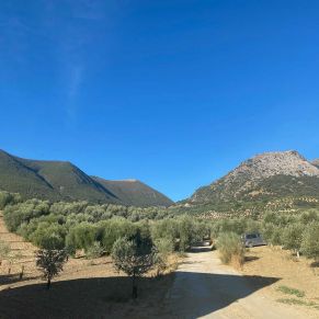 1708082072129_resultado_resultado