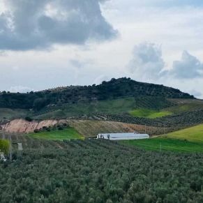 1708082072156_resultado_resultado