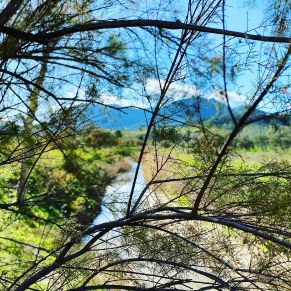 1708082072172_resultado_resultado