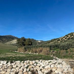 1708082072274_resultado_resultado