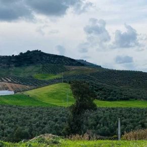 1708082072307_resultado_resultado