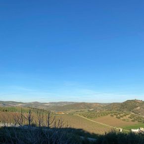 1708082072355_resultado_resultado