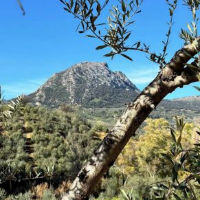 1708082072411_resultado_resultado