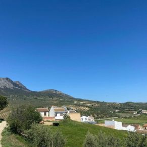 1708082072428_resultado_resultado