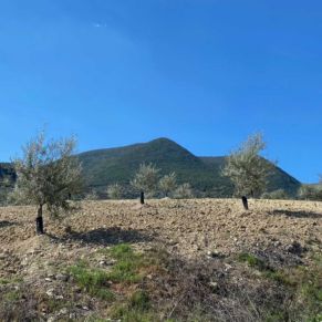 1708082072505_resultado_resultado