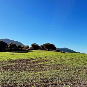 1708082072519_resultado_resultado