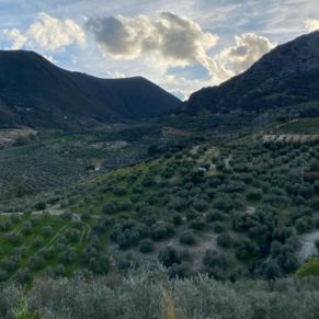 1708082152677_resultado_resultado