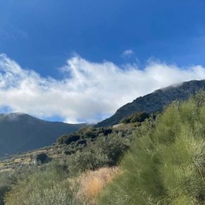 1708082152727_resultado_resultado