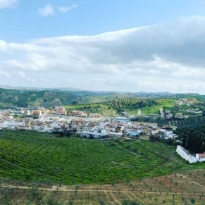 1708082152758_resultado_resultado