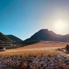 1708082152802_resultado_resultado