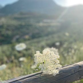 1708082152819_resultado_resultado