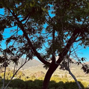 1708082152911_resultado_resultado