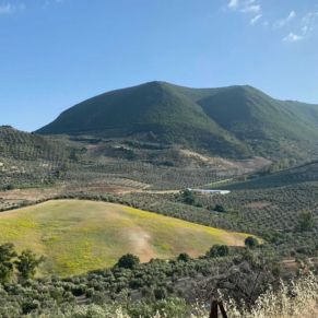 1708082152946_resultado_resultado