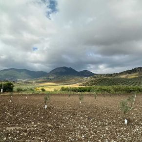 1708082153081_resultado_resultado