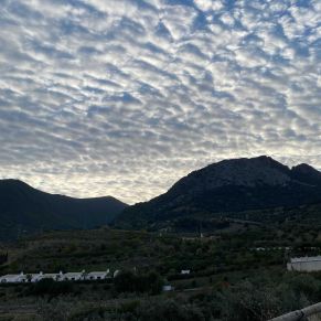 1708082153170_resultado_resultado