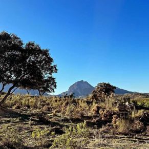 1708082153220_resultado_resultado