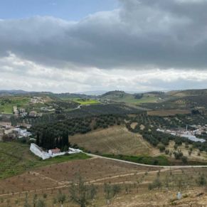 1708082153360_resultado_resultado