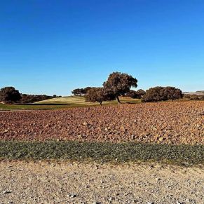 1708082249652_resultado_resultado