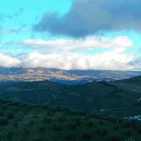 1708082249802_resultado_resultado