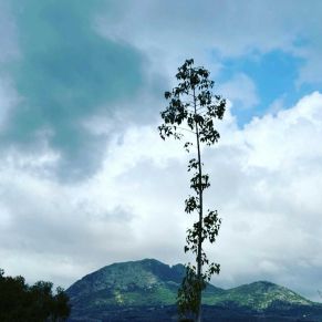 1708082249820_resultado_resultado