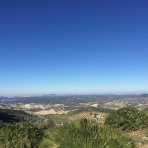 1708082249881_resultado_resultado