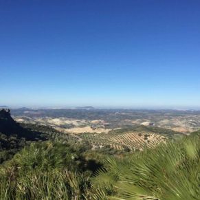 1708082249908_resultado_resultado