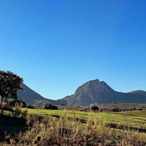 1708082249949_resultado_resultado