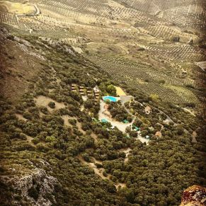 1708082249982_resultado_resultado