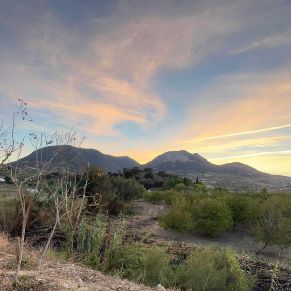 1708082250152_resultado_resultado