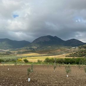 1708082250207_resultado_resultado