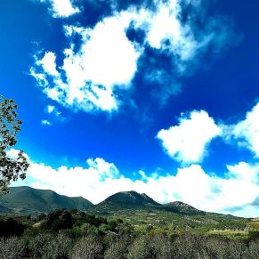 1708082250302_resultado_resultado