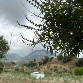 1708082250361_resultado_resultado