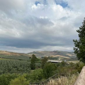 1708082250437_resultado_resultado