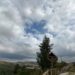 1708082250479_resultado_resultado