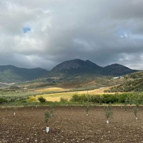 1708082250513_resultado_resultado