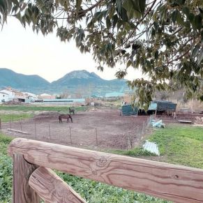 1708082250561_resultado_resultado